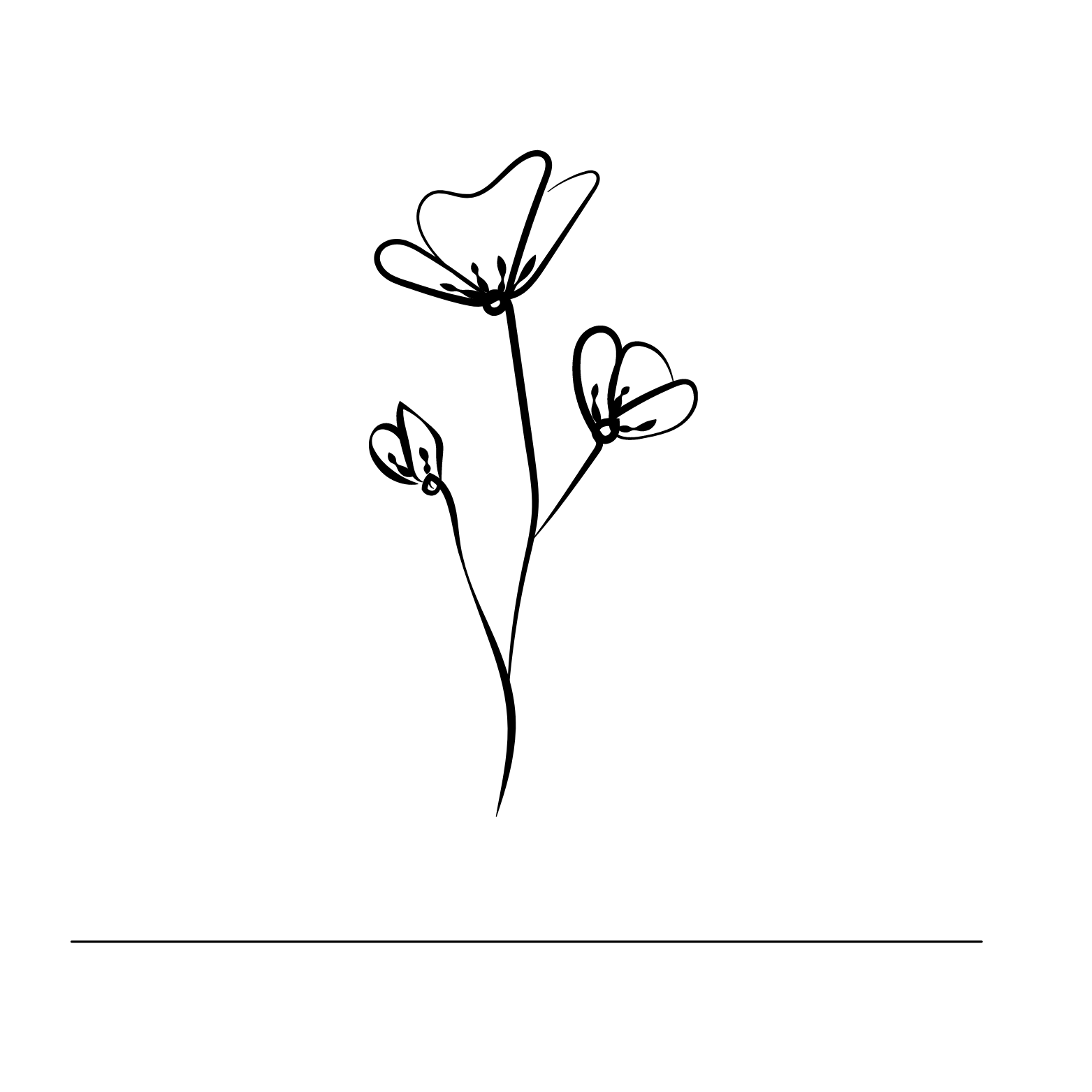 Directory image
